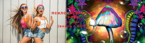 меф Ельня