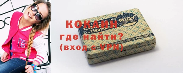 меф Ельня