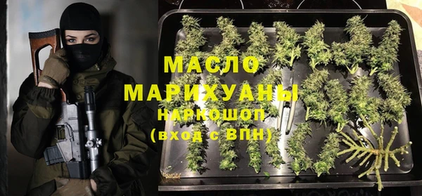 меф Ельня