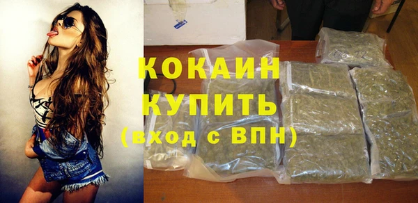 меф Ельня