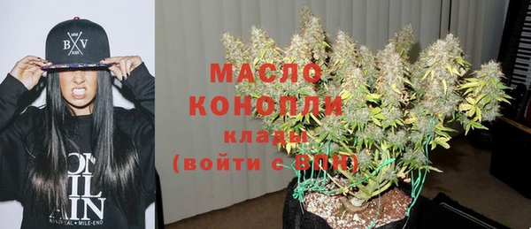 меф Ельня