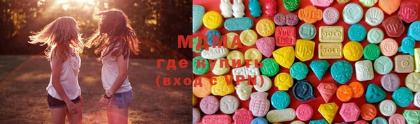 меф Ельня