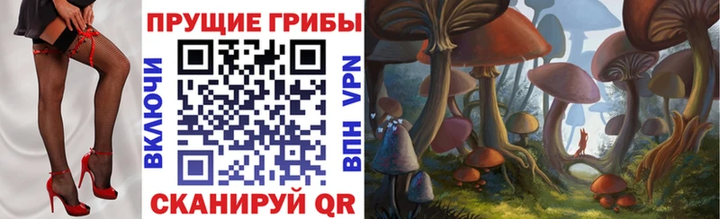 mega   закладка  Новочебоксарск  Галлюциногенные грибы Psilocybine cubensis 